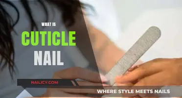 Understanding Cuticle Nails: Essential Care Tips and Benefits Explained