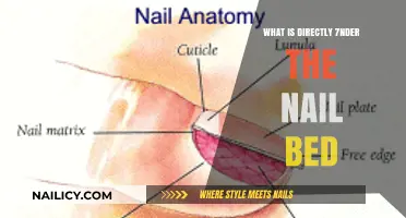 Unveiling the Hidden Layer: Exploring the Structure Beneath Your Nail Bed