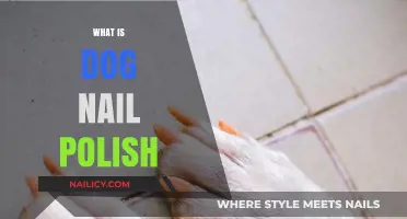 Understanding Dog Nail Polish: Benefits, Application, and Safety Tips