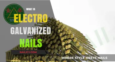 Understanding Electro Galvanized Nails: Uses, Benefits, and Applications