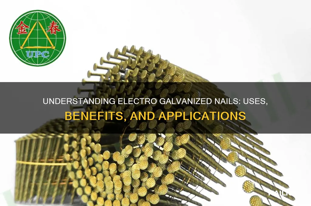 what is electro galvanized nails