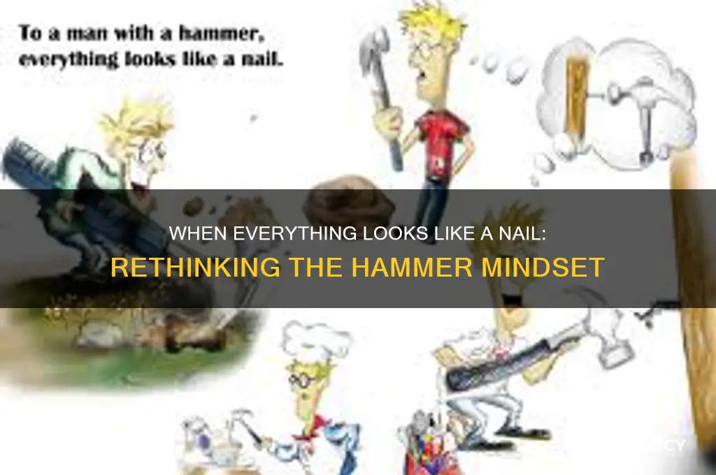 what is everything looks like a nail