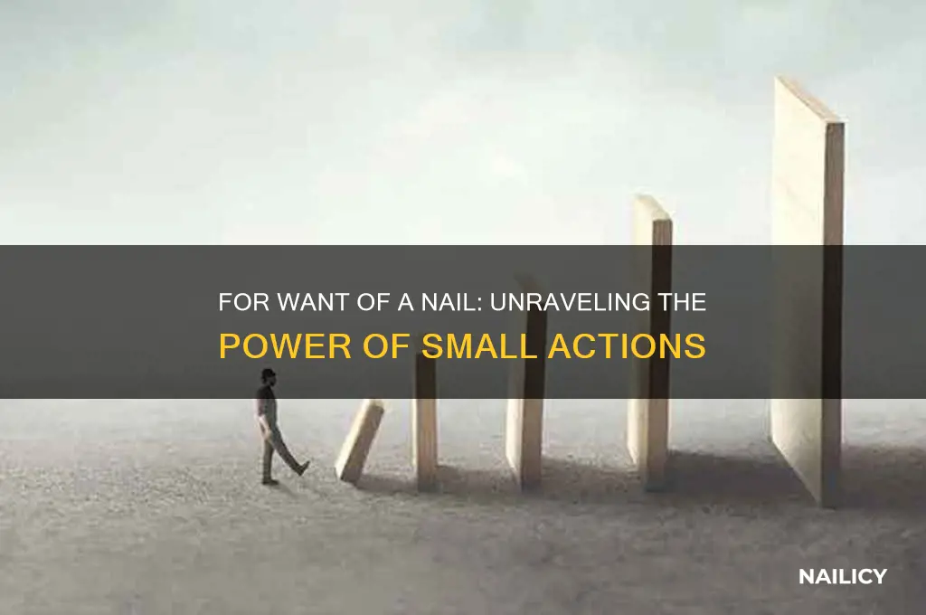 what is for want of a nail