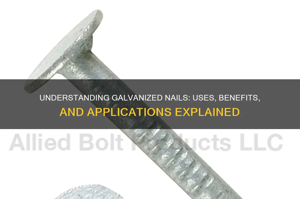 what is galvanized nail