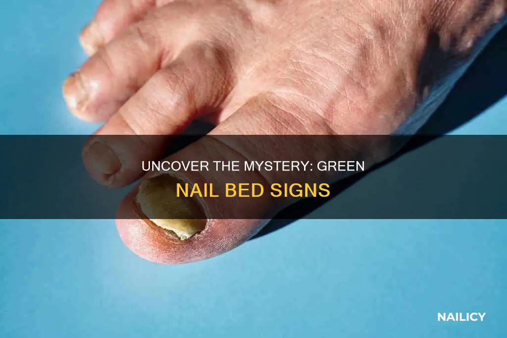 what is green stuff in your nails mean