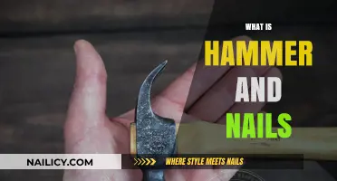 Understanding Hammer and Nails: Essential Tools for Construction and DIY Projects