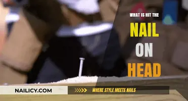 Understanding the Idiom: What Does 'Hit the Nail on the Head' Mean?