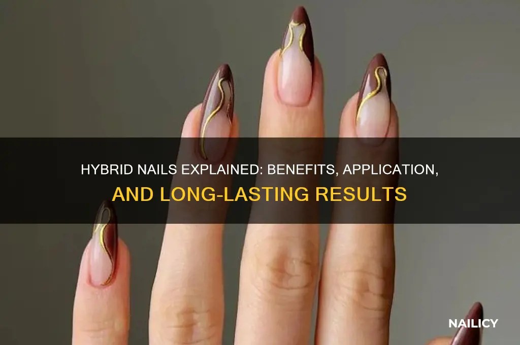 what is hybrid nails