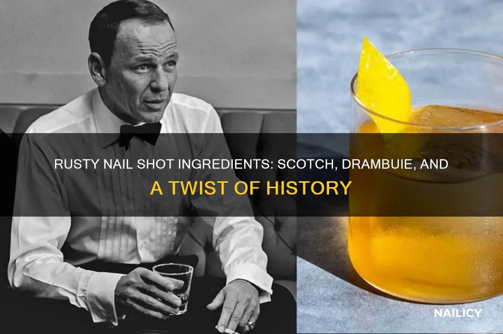 what is in a rusty nail shot
