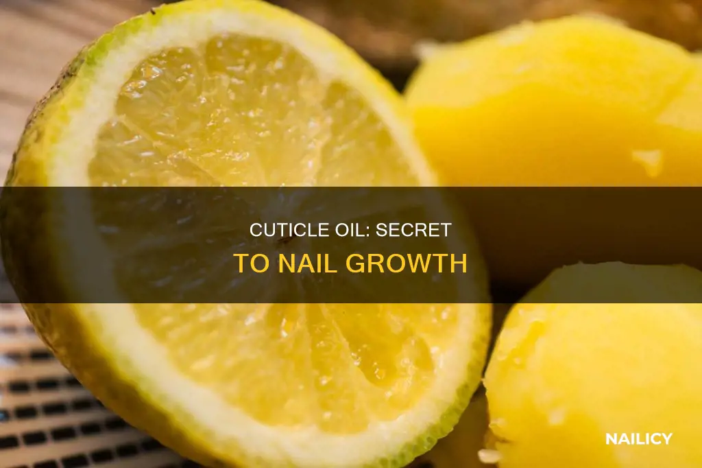 what is in cuticle oil that makes nails grow