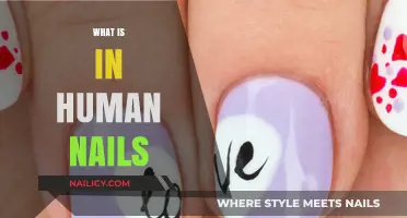 Unveiling the Surprising Composition of Human Nails: What's Inside?