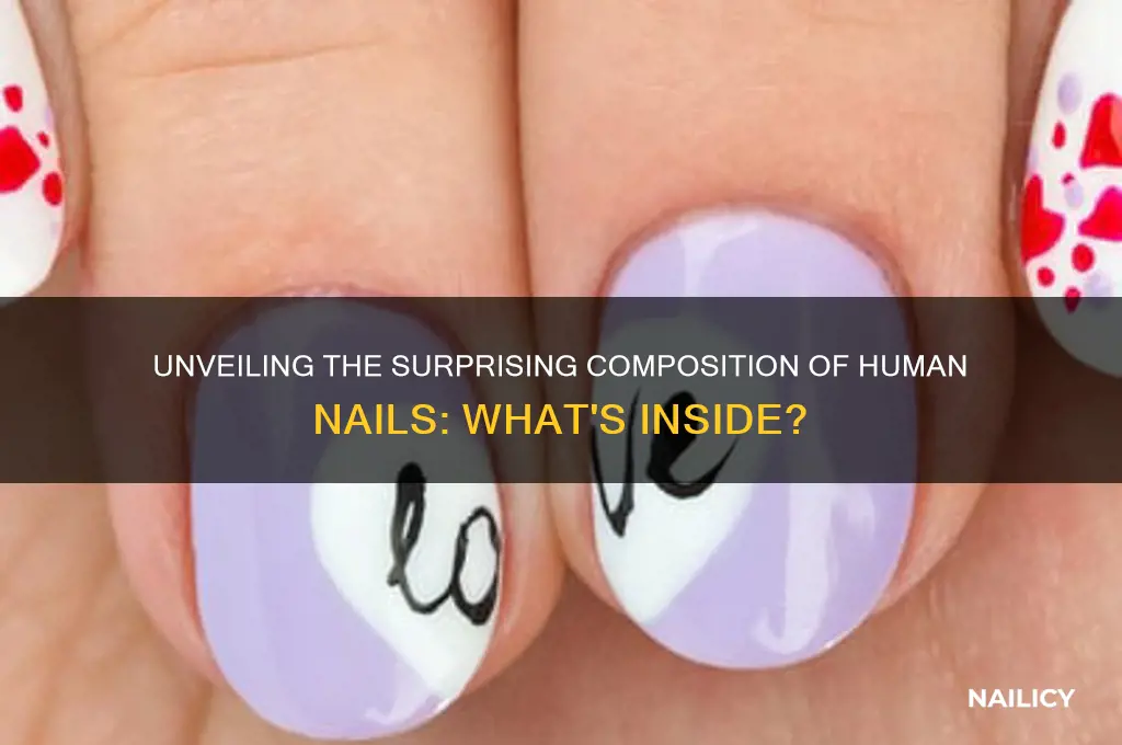 what is in human nails