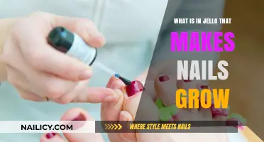 Gelatin's Role in Nail Growth: The Science
