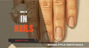 Unveiling the Surprising Components Inside Your Everyday Nails