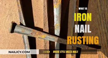Understanding Iron Nail Rusting: Causes, Process, and Prevention Explained