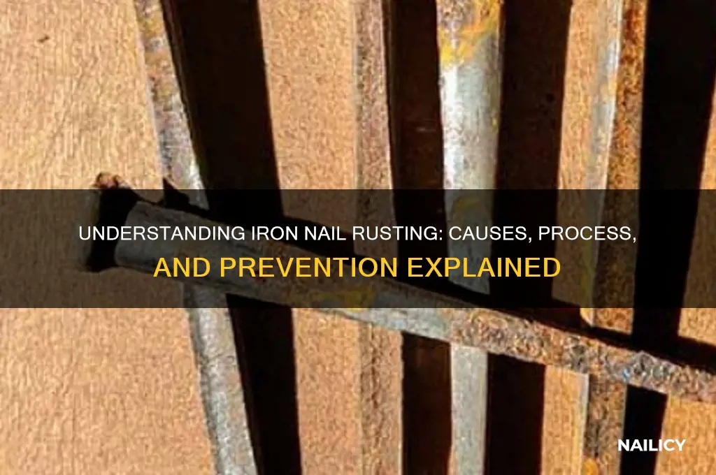 what is iron nail rusting