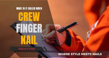 The Art of Crew Nail Care: A Guide