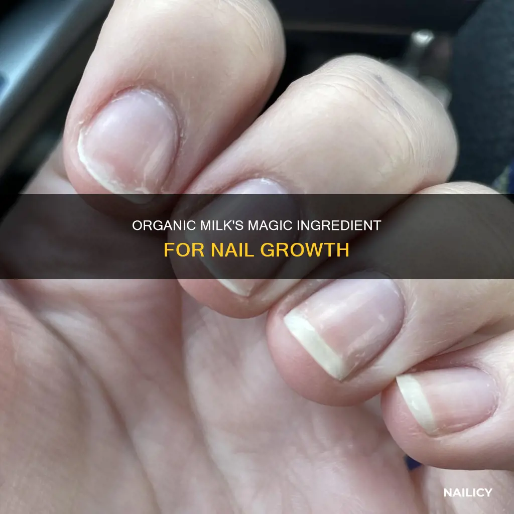 what is it in organic milk that makes nails grow
