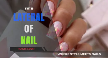 Understanding the Lateral of Nail: Structure, Function, and Care Tips