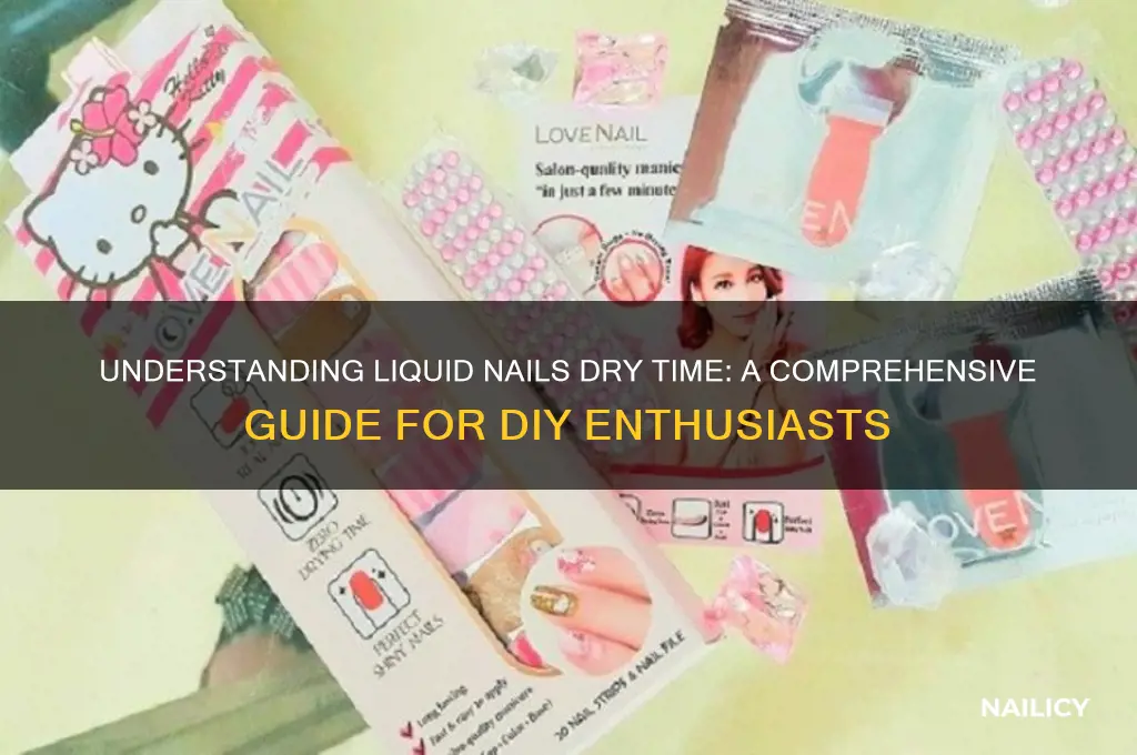 what is liquid nail dry