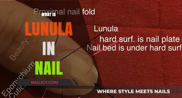 Understanding the Lunula: The Half-Moon Mystery in Your Fingernails