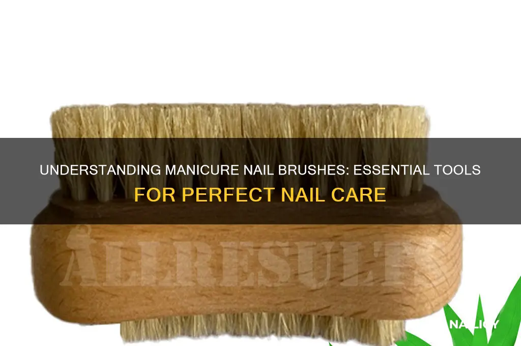 what is manicure nail brush