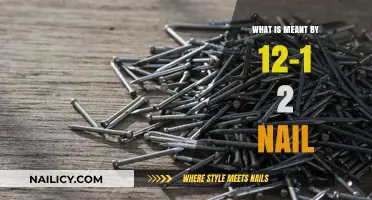 Understanding the 12d Nail: Size, Uses, and Applications Explained