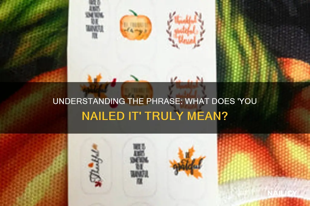 what is meant by you nailed it