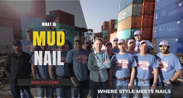 Understanding Mud Nails: Essential Tools for Masonry and Construction Projects