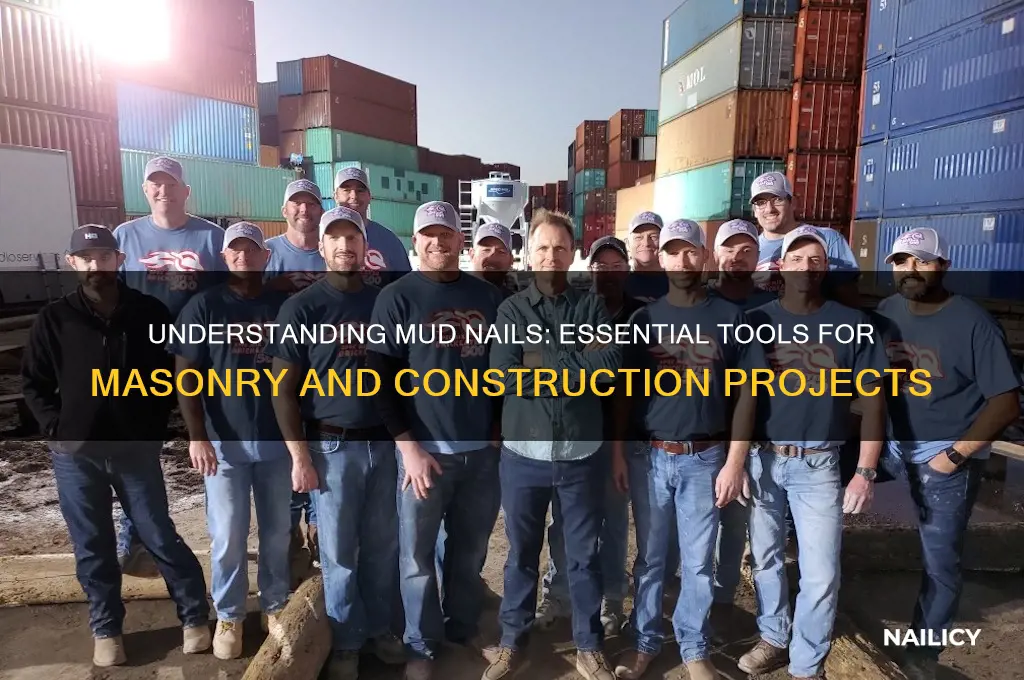 what is mud nail