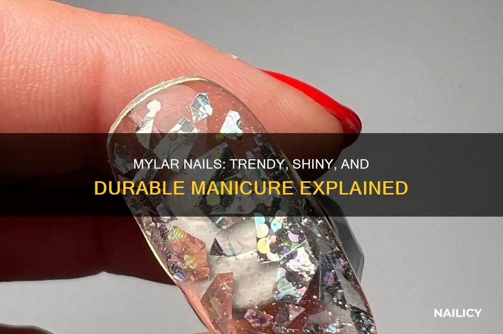 what is mylar nails