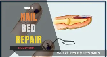 Nail Bed Repair: Healing, Techniques, and Recovery Explained
