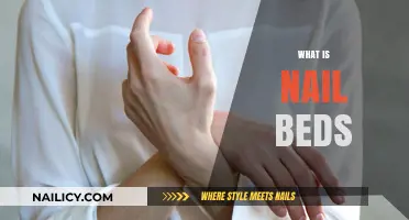 Understanding Nail Beds: Structure, Function, and Essential Care Tips
