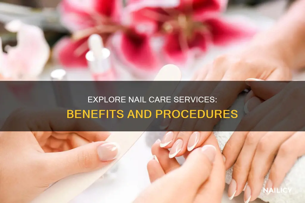 what is nail care services meaning