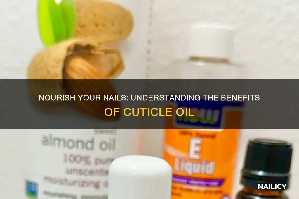what is nail cuticle oil