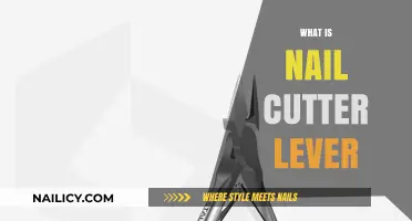 Understanding the Nail Cutter Lever: Function, Types, and Uses