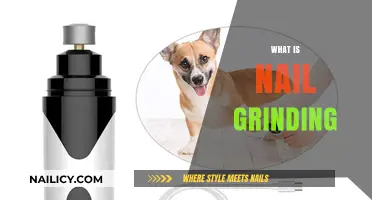 Understanding Nail Grinding: A Gentle Approach to Pet Paw Care
