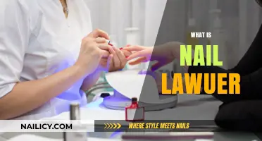 Understanding Nail Law: What is a Nail Lawyer and Their Role