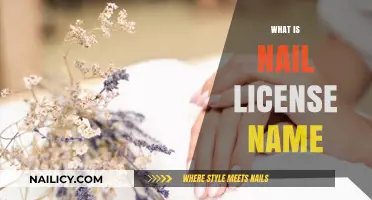 Understanding the Nail Technician License: What’s It Called and Why It Matters