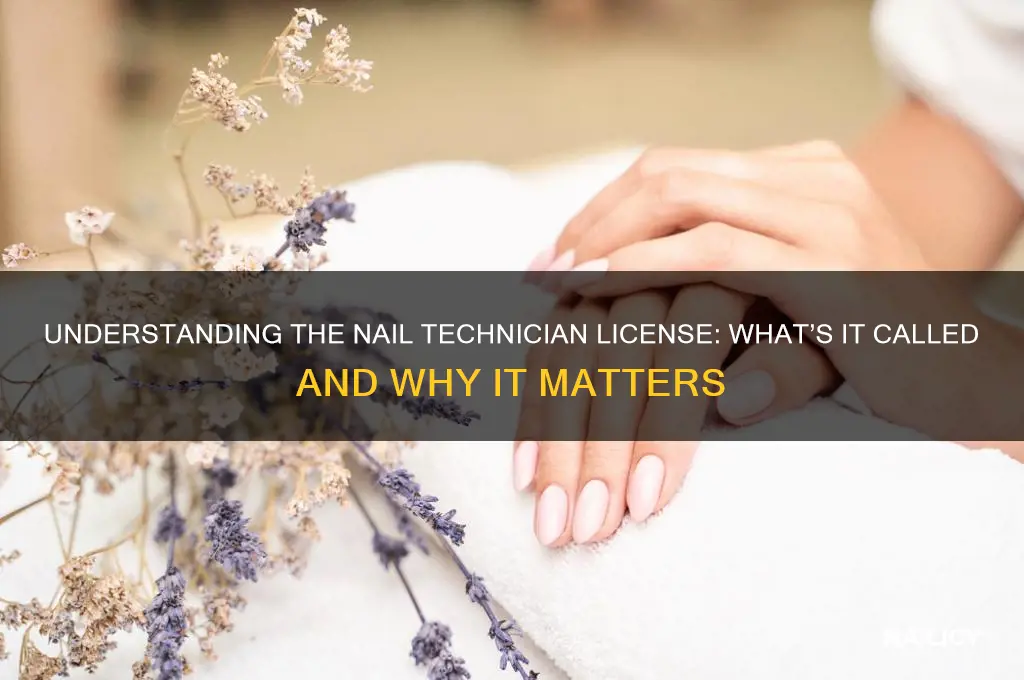 what is nail license name