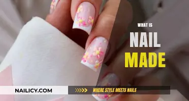 Understanding Nail Composition: Materials, Structure, and Function Explained