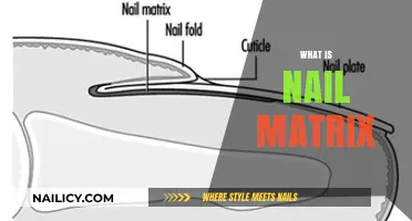 Understanding the Nail Matrix: Structure, Function, and Health Insights