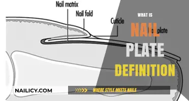 Understanding the Nail Plate: Definition, Function, and Importance Explained