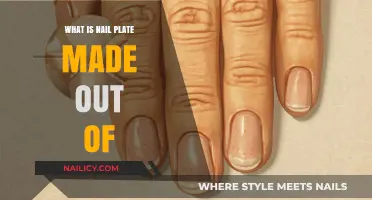 Understanding the Composition of Your Nail Plate: A Comprehensive Guide