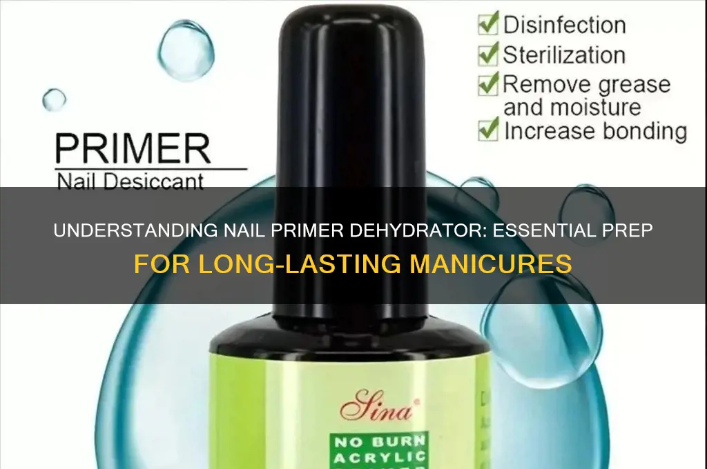 what is nail primer dehydrator