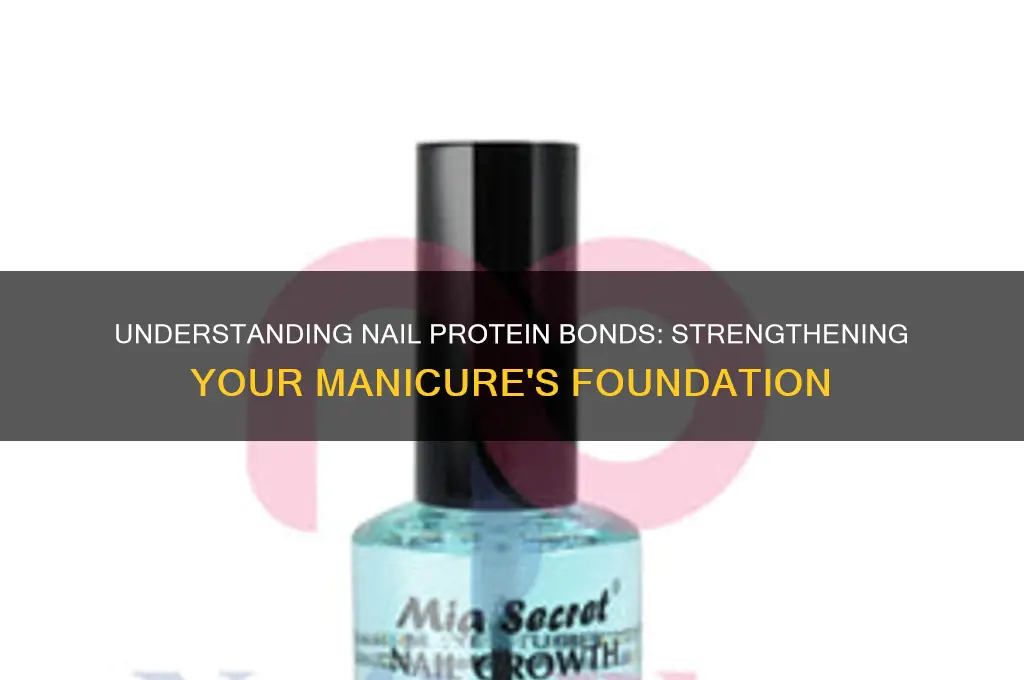 what is nail protein bond
