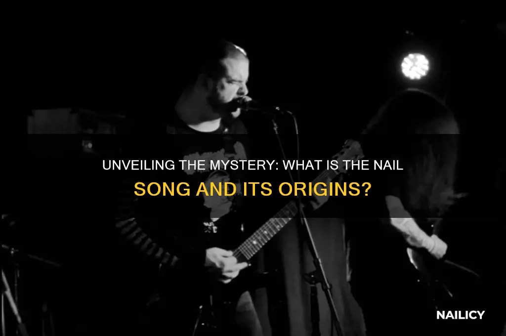 what is nail song