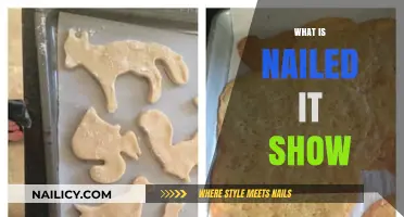 Nailed It! Show Explained: Baking Fails, Laughs, and Unexpected Wins