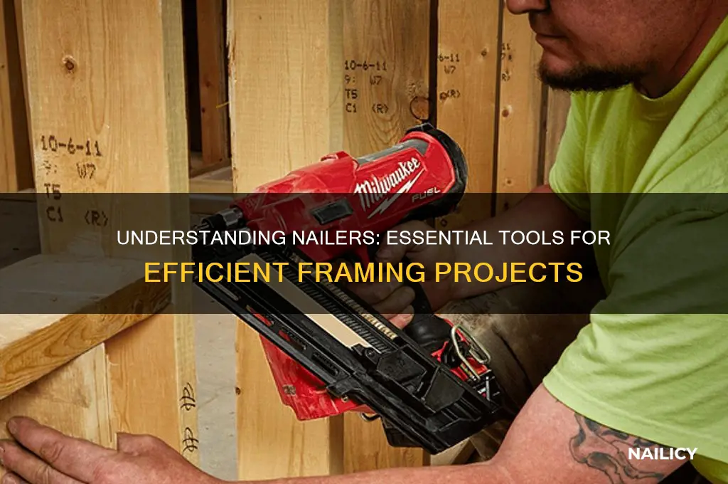 what is nailer in framing