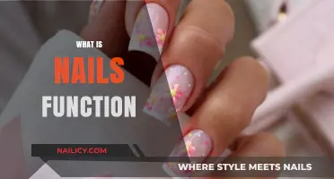 Understanding the Essential Functions of Nails in Human Anatomy